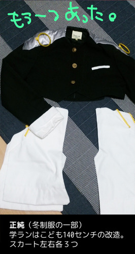 20161009cos2.jpg
